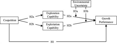 Coopetition, exploration and exploitation capabilities, and growth performance in digital healthcare ventures